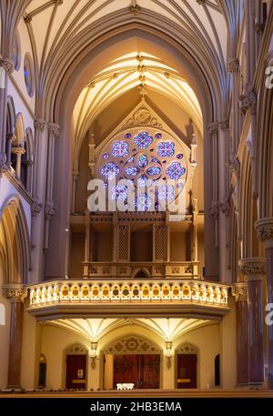 Vitraux, fenêtres en rose, colonnes et plafond voûté dans l'église Saint Francis Xavier College, une église catholique romaine, à Saint Louis, Missouri. Banque D'Images