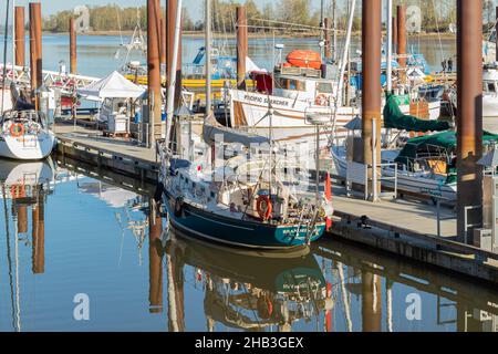 Bateaux de pêche dans un port.Un grand nombre de bateaux de pêche amarrés dans la marina de Richmond (Colombie-Britannique) Canada-avril 18,2021.Street View, Travel photo, sélectionnez Banque D'Images