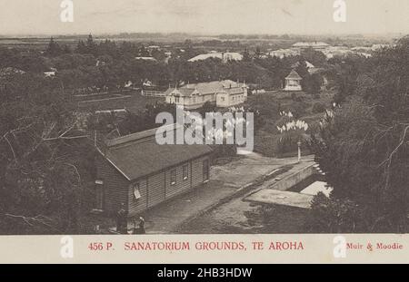 Sanatorium Grounds, te Aroha, studio Muir & Moodie, 1905, te Aroha Banque D'Images