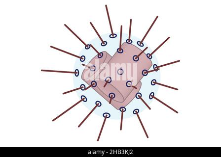 Ultrastructure des centrosomes dans la structure cellulaire de base Banque D'Images