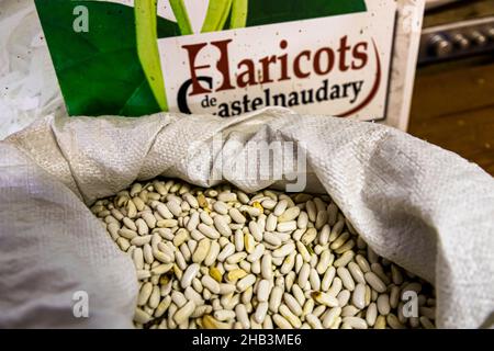 Les haricots blancs de Castelnaudary sont l'ingrédient principal du ragoût de cassoulet. Le haricot long Lingot prend 90 jours de semis à la récolte dans les champs autour de Castelnaudary. Pexiora, France Banque D'Images