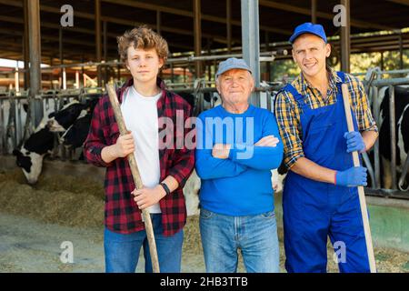 Propriétaire d'une ferme laitière âgée prospère avec son fils et son petit-fils adolescent debout dans une cabine avec des vaches Banque D'Images