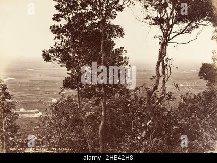 Vallée de la Tamise, te Aroha.Extrait de l'album: New Zealand Views, Burton Brothers studio, studio de photographie, Dunedin, photographie en noir et blanc Banque D'Images