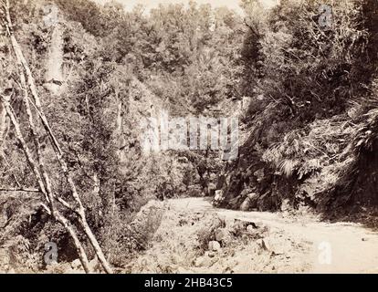 Gorge de Mongarewa, studio Burton Brothers, studio de photographie, 1870s, Dunedin,photographie en noir et blanc Banque D'Images