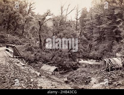 Gorge de Mongarewa, studio Burton Brothers, studio de photographie, 1870s, Dunedin,photographie en noir et blanc Banque D'Images