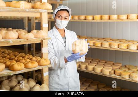 Femme cheesmaaker dans le masque de contrôle du processus de vieillissement du fromage de chèvre Banque D'Images