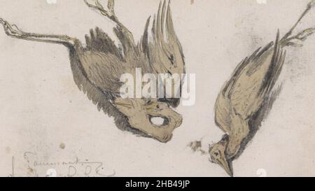 Feuille 25 recto d'un carnet d'esquisses de 98 feuilles, Dead heron, Johannes Tavenraat, 1864 Banque D'Images