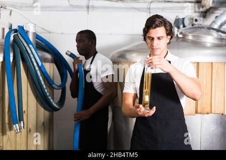 Brasseur mâle dans un tablier vérifiant attentivement la qualité de la bière dans un flacon Banque D'Images