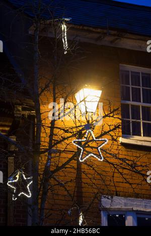 Décorations lumineuses de Noël dans un arbre la nuit.Henley-on-Thames, Oxfordshire, Angleterre Banque D'Images