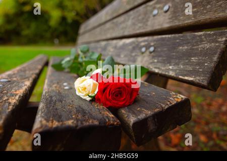 Photo de concept d'amour.Love concept photo de fond avec roses blanches et rouges sur le banc dans le parc.Mise au point sélective sur le premier plan. Banque D'Images