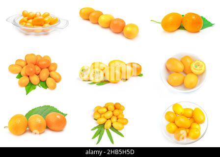Ensemble de cumquats sur fond blanc découpé Banque D'Images