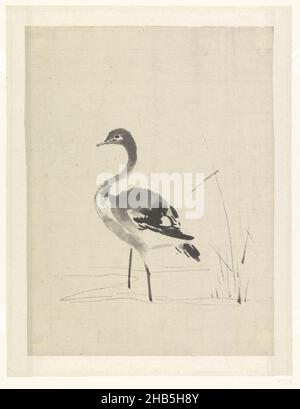 Jeune grue, rapporteur pour avis: Anonyme, Japon, 1603 - 1868, papier,brosse, hauteur 362 mm × largeur 271 mm Banque D'Images