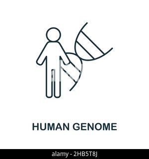 Icône du génome humain.Elément linéaire de la collection de bioingénierie.Signe d'icône de génome humain linéaire pour la conception de sites Web, infographiques et plus encore. Illustration de Vecteur
