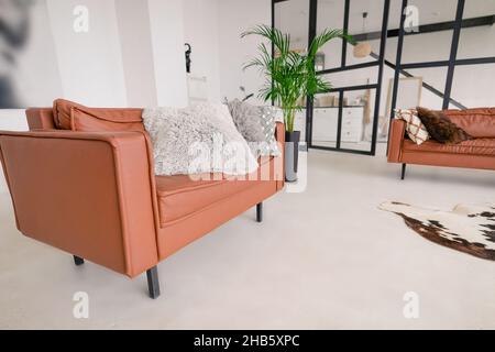 Espace détente au bureau.Chambre blanche avec un mur de verre, des canapés en cuir tendance, des coussins de canapé, un palmier dans un pot.Zonage des chambres.Photo de haute qualité Banque D'Images