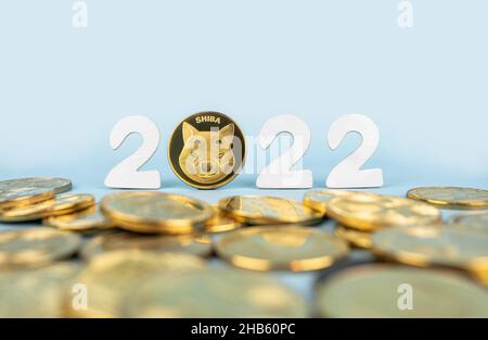 Shiba Inu en 2022 concept de prévision des prix.Pièce de monnaie Shib située à côté des jetons de crypto-monnaie et des numéros d'année sur fond bleu.Gros plan, mise au point douce. Banque D'Images