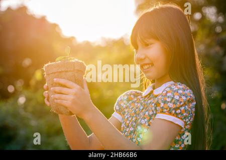 Jeune plante et fille.Petite fille mignonne donner une petite plante au soleil.Bonheur la nouvelle vie sauve la terre et le concept d'écosystème. Banque D'Images