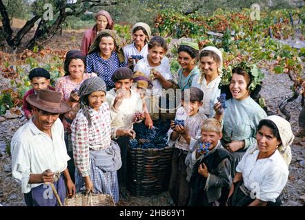 Une série d'images sur la production de vin de Porto au Portugal c 1960 - portrait de groupe des personnes récoltant des raisins Banque D'Images