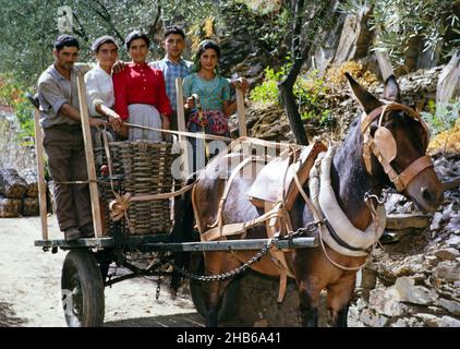 Une série d'images sur la production de vin de Porto au Portugal c 1960 - portrait de famille debout au dos du chariot avec cheval Banque D'Images