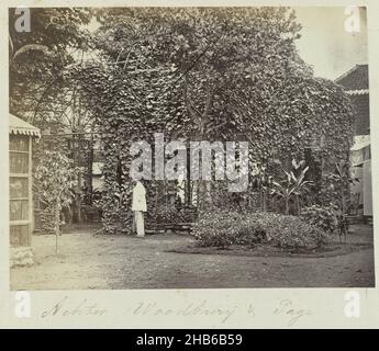 Derrière Woodbury & amp; page (titre sur objet), homme debout dans un jardin près d'une pergola ou d'une volière couverte de lierre, derrière le studio photographique de Woodbury & amp; page sur Rijswijk à Batavia.Fait partie de l'album photo vert de photographies de Java, de la possession du pharmacien Specht-Grijp, qui est revenu en Hollande de Batavia en 1865., Woodbury & page, Batavia, 1863 - 1869, support photographique,imprimé albumine, hauteur 102 mm × largeur 131 mm Banque D'Images