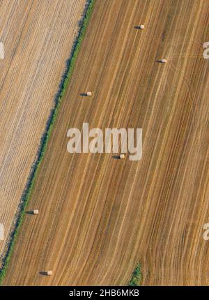 Champ de grain avec balles rondes de paille, vue aérienne, Allemagne, Schleswig-Holstein Banque D'Images