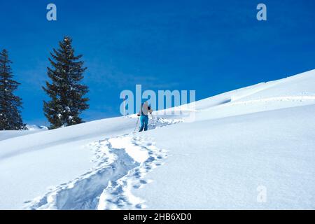 Belle situation dans les Alpes du centre de la Suisse.Un tourer en raquettes escalade une colline enneigée sous le ciel bleu profond. Banque D'Images