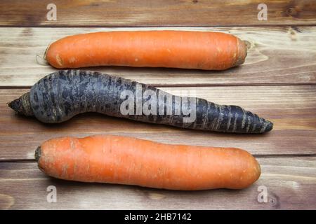Vue de dessus sur un groupe de 3 carottes fraîches mûres entières isolées orange et noires, fond en bois (centre de la carotte noire) Banque D'Images