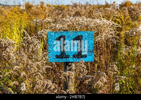 Le numéro onze 11 imprimé sur la plaque installée sur le terrain, en marquant le site par un numéro Banque D'Images