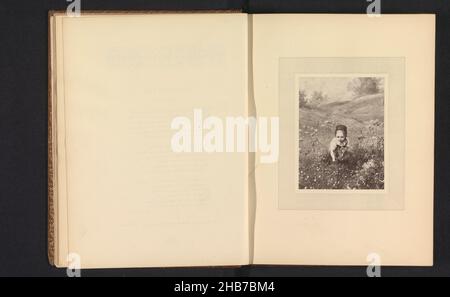 Photoréproduction d'un imprimé après la peinture d'une fille dans un champ avec des fleurs par Ludwig Knaus, fabricant: Anonyme, Eduard Willmann, Londres, c.1864 - avant 1874, papier, hauteur 120 mm × largeur 91 mm Banque D'Images