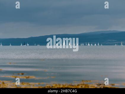 Une régate de voiliers à Scallastle Bay, Sound of Mull, Inner Hebrides, Argyll & Bute Scotland UK - voiliers voiliers yachts Mainsail seulement Banque D'Images