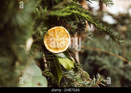 Couronne de Noël faite à la main en branches d'arbre à feuilles persistantes, fruits secs, oranges, cônes de pin Banque D'Images