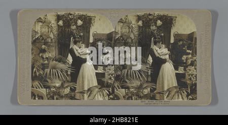 Couple en chambre avec plantes, seul, enfin seul (titre sur objet), Carleton Harlow graves (mentionné sur objet), éditeur: Universal photo Art Company (mentionné sur objet), 1898, support photographique, carton, imprimé gélatine argentée,hauteur 88 mm × largeur 178 mm Banque D'Images