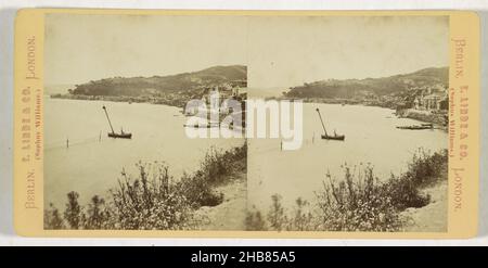 Vue sur la côte près d'Istanbul, peut-être du district de Yeni Mahalle à Beykoz, Yeni - Makala (titre sur objet), Constantinople (titre sur objet), anonyme, éditeur: E. Linde & Co. (Sophus Williams) (mentionné sur objet), Istobel, éditeur: Berlin, 1873 - 1890, carton,papier, imprimé albumine, hauteur 88 mm × largeur 177 mm Banque D'Images