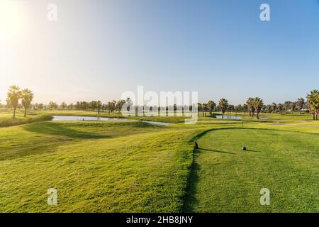 Parcours de golf moderne pour les touristes avec des étangs clairs et des palmiers pour la détente et le golf.Albufeira, Algarve Sunny Day Banque D'Images