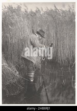 Reed-Cutter at the Norfolk Broads, A Reed-Cutter at Work (titre original), Peter Henry Emerson (attribué à), éditeur: Marston, Searle, & Rivington Sampson Low (attribué à), Norfolk, éditeur: Great Britain, 1885 - 1886, assistance photographique,carton, hauteur 280 mm × largeur 202 mm hauteur 372 mm × largeur 280 mm Banque D'Images