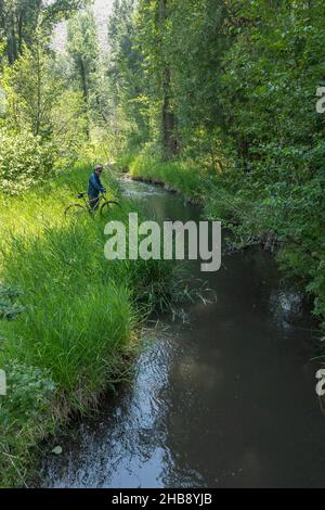 USA, Idaho, Bellevue, homme senior sur vélo regardant le ruisseau Banque D'Images