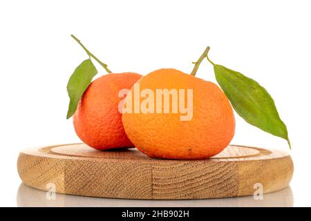 Deux mandarines mûres orange vif sur un plateau en bois, gros plan, isolées sur du blanc. Banque D'Images