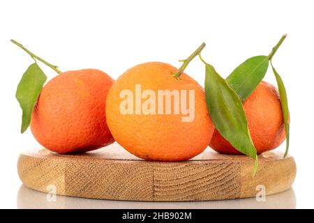 Trois mandarines mûres orange vif sur un plateau en bois, gros plan, isolées sur du blanc. Banque D'Images