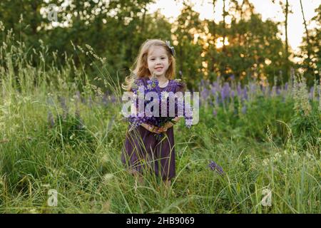 Jolie fille de quatre ans en robe violette tient dans les mains bouquet de fleurs lupin.Drôle d'enfant souriant avec de longs cheveux sur le terrain.Jeux pour enfants en extérieur.C Banque D'Images