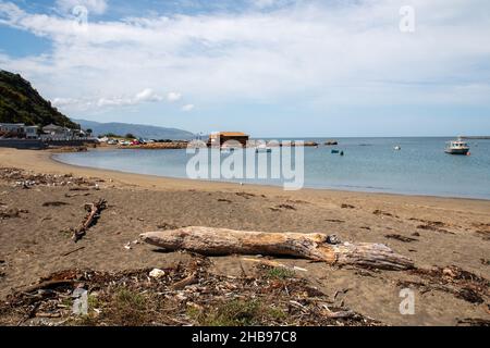 Une baie Rocky près de Island Bay, Wellington, Nouvelle-Zélande Banque D'Images