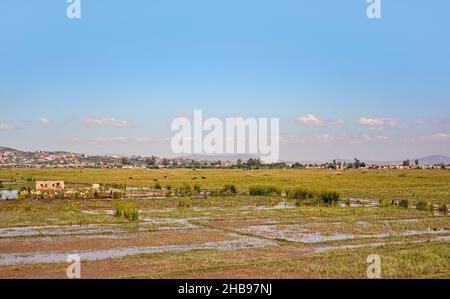 Antananarivo, Madagascar - 07 mai 2019: Paysage typique près de la capitale de Madagascar, maisons sur fond de petites collines, avec des personnes travaillant à riz humide fi Banque D'Images