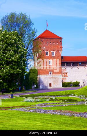 Pologne, Cracovie, château de Wawel, Tour Thief. Banque D'Images