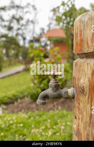 détails des robinets d'eau métalliques, dans un jardin avec la nature à l'extérieur, objet domestique Banque D'Images