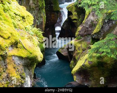 Rochers recouverts de mousse et eau couleur aigue-marine d'Avalanche Creek avec chutes Avalanche en arrière-plan.Photographié dans le parc national des Glaciers, M Banque D'Images