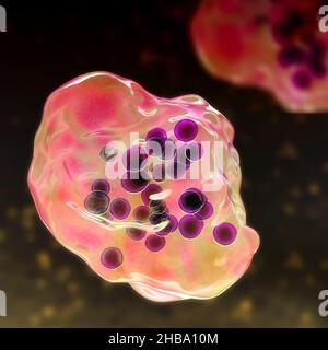 illustration-de-l-infection-par-le-virus-de-la-rougeole-montrant-des
