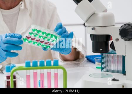 Un scientifique pipetant des échantillons dans une plaque. Banque D'Images