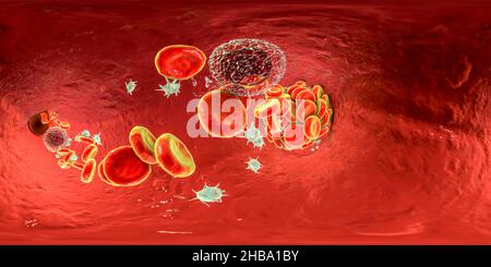 Caillot de sang composé de globules rouges, de plaquettes et de brins de protéines de fibrine.Vue panoramique VR à 360 degrés, illustration. Banque D'Images