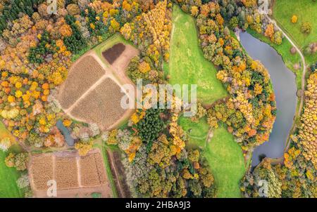 Vue de haut en bas sur le parc, l'étang et les jardins d'un drone dans les couleurs de l'automne, Exeter, Devon, Angleterre, Europe Banque D'Images