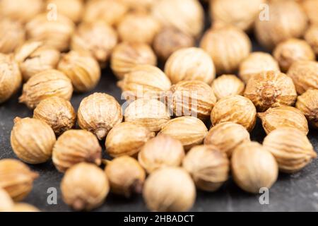 Gros plan sur les épices et les graines comestibles véritables: Détails des graines de coriandre ( Coriandrum sativum ) avec des zones imprécises et pointues (DOF) Banque D'Images