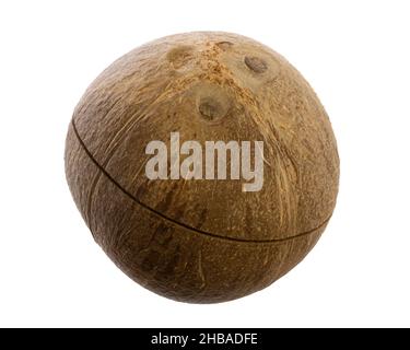 vraie nourriture et boisson comestibles: vue latérale de la noix de coco préfabriquée entière isolée sur fond blanc Banque D'Images