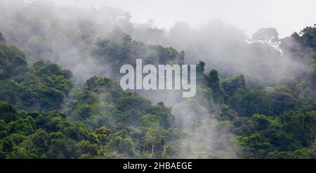 Vue panoramique sur la forêt humide après les précipitations sur le côté ouest du Rio Chagres et du canal de Panama, République de Panama, Amérique centrale. Banque D'Images